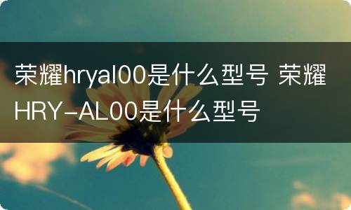 荣耀hryal00是什么型号 荣耀HRY-AL00是什么型号