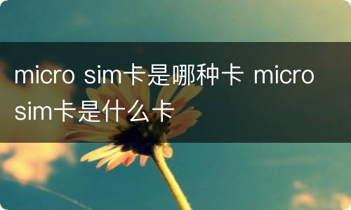 micro sim卡是哪种卡 micro sim卡是什么卡