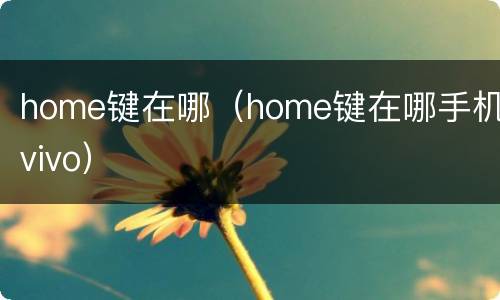 home键在哪（home键在哪手机vivo）