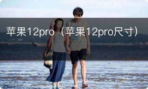 苹果12pro（苹果12pro尺寸）