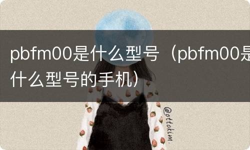 pbfm00是什么型号（pbfm00是什么型号的手机）