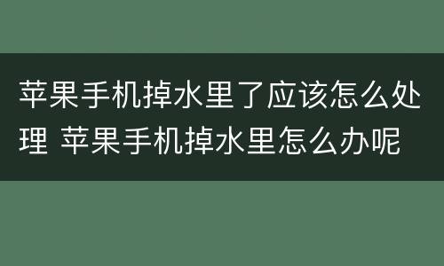 苹果手机掉水里了应该怎么处理 苹果手机掉水里怎么办呢