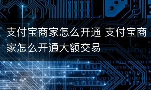 支付宝商家怎么开通 支付宝商家怎么开通大额交易