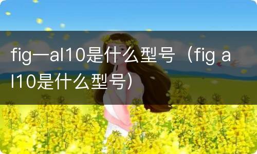 fig一al10是什么型号（fig al10是什么型号）