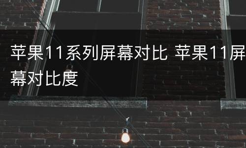 苹果11系列屏幕对比 苹果11屏幕对比度