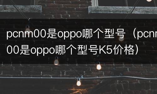 pcnm00是oppo哪个型号（pcnm00是oppo哪个型号K5价格）