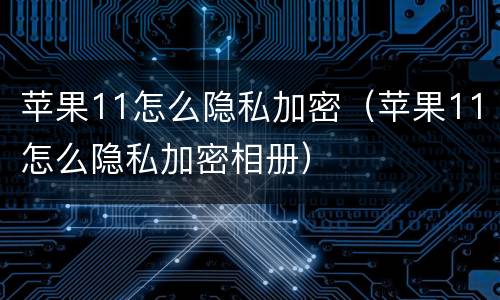 苹果11怎么隐私加密（苹果11怎么隐私加密相册）