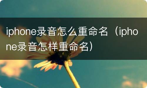 iphone录音怎么重命名（iphone录音怎样重命名）