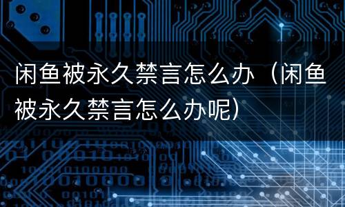 闲鱼被永久禁言怎么办（闲鱼被永久禁言怎么办呢）