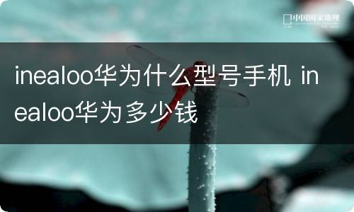 inealoo华为什么型号手机 inealoo华为多少钱