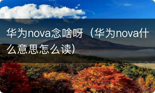 华为nova念啥呀（华为nova什么意思怎么读）