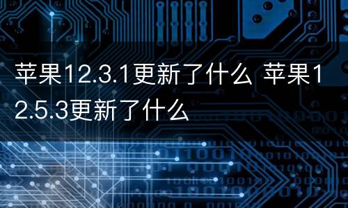 苹果12.3.1更新了什么 苹果12.5.3更新了什么