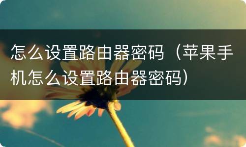 怎么设置路由器密码（苹果手机怎么设置路由器密码）