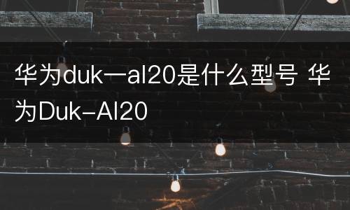 华为duk一al20是什么型号 华为Duk-Al20