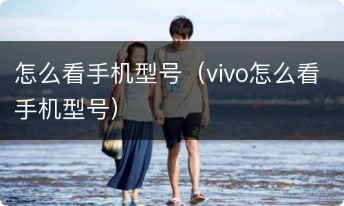 怎么看手机型号（vivo怎么看手机型号）