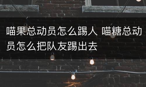 喵果总动员怎么踢人 喵糖总动员怎么把队友踢出去