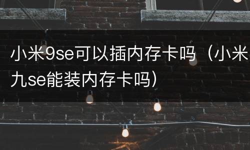 小米9se可以插内存卡吗（小米九se能装内存卡吗）