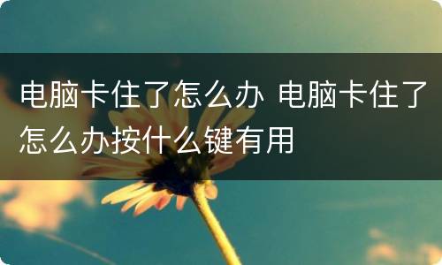 电脑卡住了怎么办 电脑卡住了怎么办按什么键有用