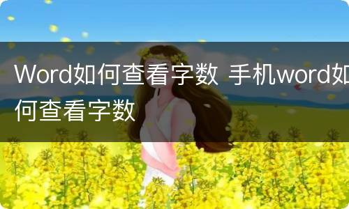 Word如何查看字数 手机word如何查看字数