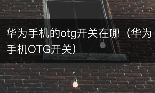 华为手机的otg开关在哪（华为手机OTG开关）