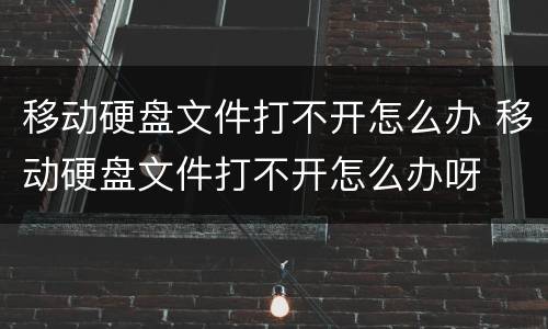 移动硬盘文件打不开怎么办 移动硬盘文件打不开怎么办呀