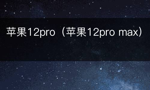 苹果12pro（苹果12pro max）