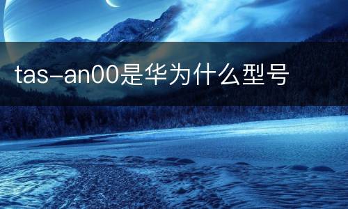tas-an00是华为什么型号
