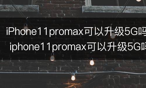 iPhone11promax可以升级5G吗 iphone11promax可以升级5G吗
