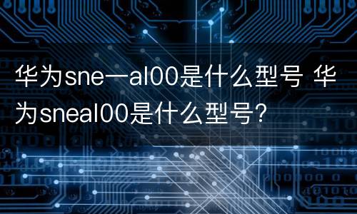 华为sne一al00是什么型号 华为sneal00是什么型号?