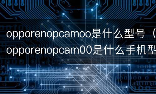 opporenopcamoo是什么型号（opporenopcam00是什么手机型号）