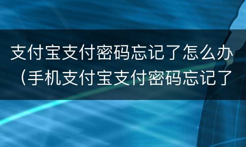 支付宝支付密码忘记了怎么办（手机支付宝支付密码忘记了怎么办）