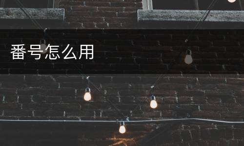 番号怎么用