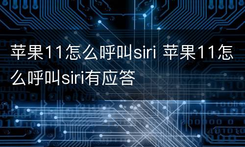 苹果11怎么呼叫siri 苹果11怎么呼叫siri有应答