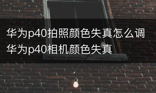 华为p40拍照颜色失真怎么调 华为p40相机颜色失真