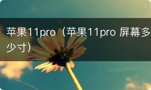 苹果11pro（苹果11pro 屏幕多少寸）