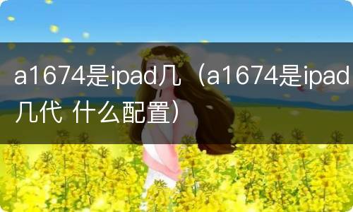 a1674是ipad几（a1674是ipad几代 什么配置）