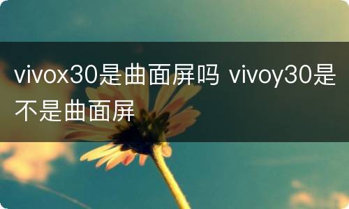 vivox30是曲面屏吗 vivoy30是不是曲面屏