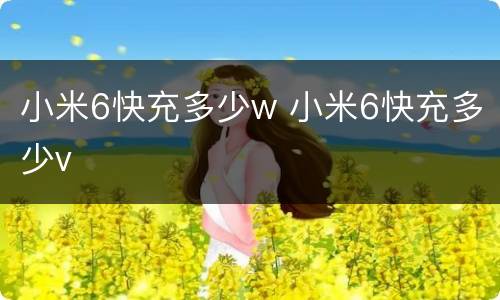 小米6快充多少w 小米6快充多少v