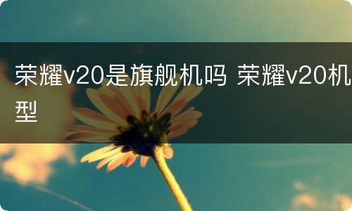 荣耀v20是旗舰机吗 荣耀v20机型