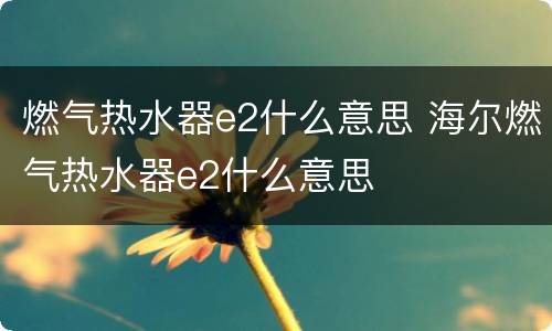 燃气热水器e2什么意思 海尔燃气热水器e2什么意思