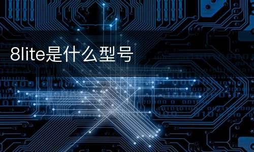 8lite是什么型号