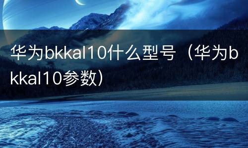 华为bkkal10什么型号（华为bkkal10参数）