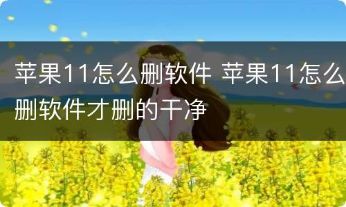 苹果11怎么删软件 苹果11怎么删软件才删的干净