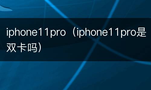 iphone11pro（iphone11pro是双卡吗）