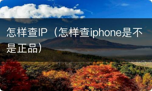 怎样查IP（怎样查iphone是不是正品）