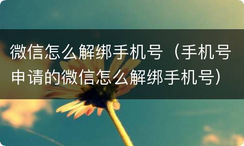 微信怎么解绑手机号（手机号申请的微信怎么解绑手机号）
