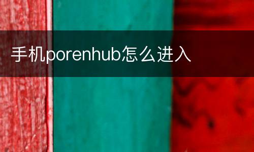 手机porenhub怎么进入