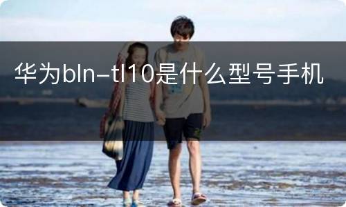 华为bln-tl10是什么型号手机
