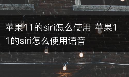 苹果11的siri怎么使用 苹果11的siri怎么使用语音