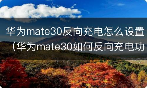 华为mate30反向充电怎么设置（华为mate30如何反向充电功能）